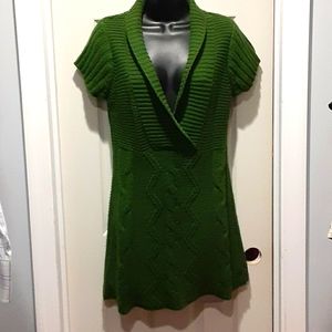 Gorgeous green sweater dress/long top